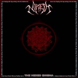 Norseth : The Hexed Enigma Norseth : The Hexed Enigma